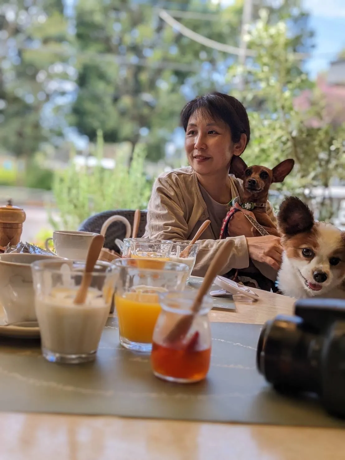 ペットの旅行を快適に！安心して任せられる専門的なペットタクシーサービス