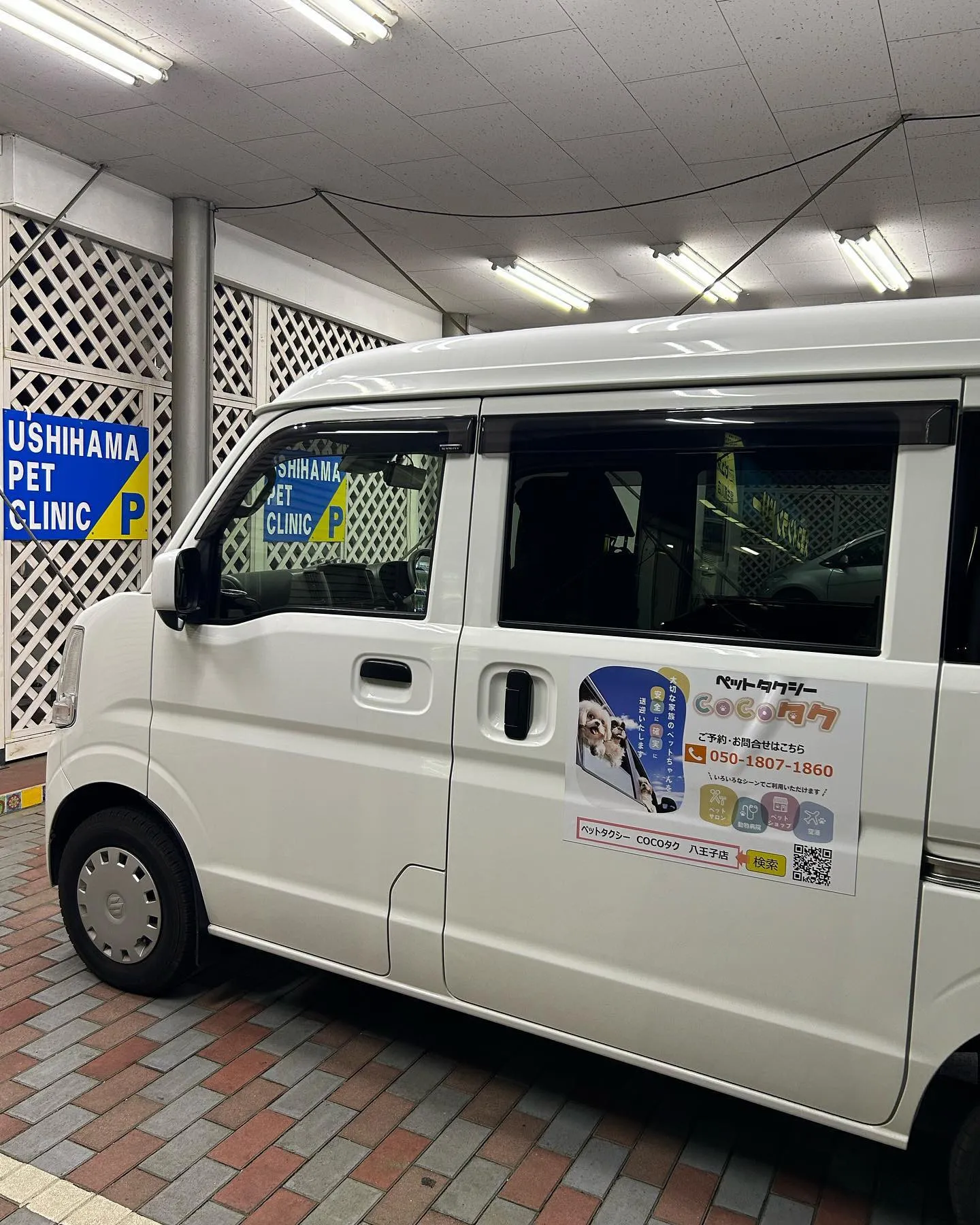 牛浜ペットクリニック様に来ています。