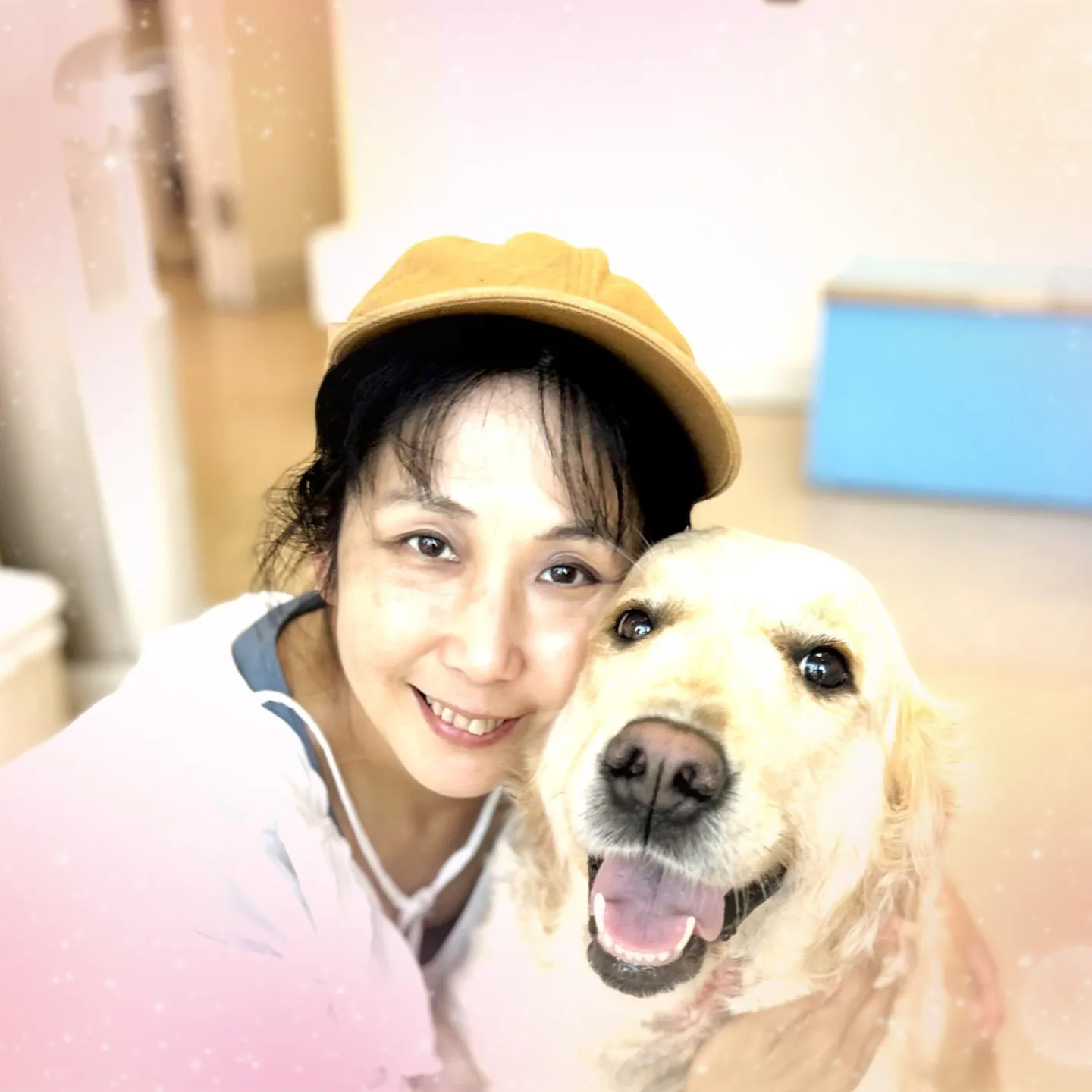 ペットタクシーの一日