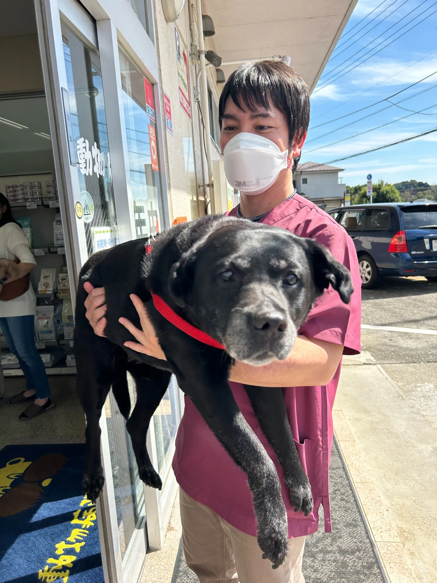 ペットタクシーで大型犬も楽々移動！快適な移動空間を提供します。