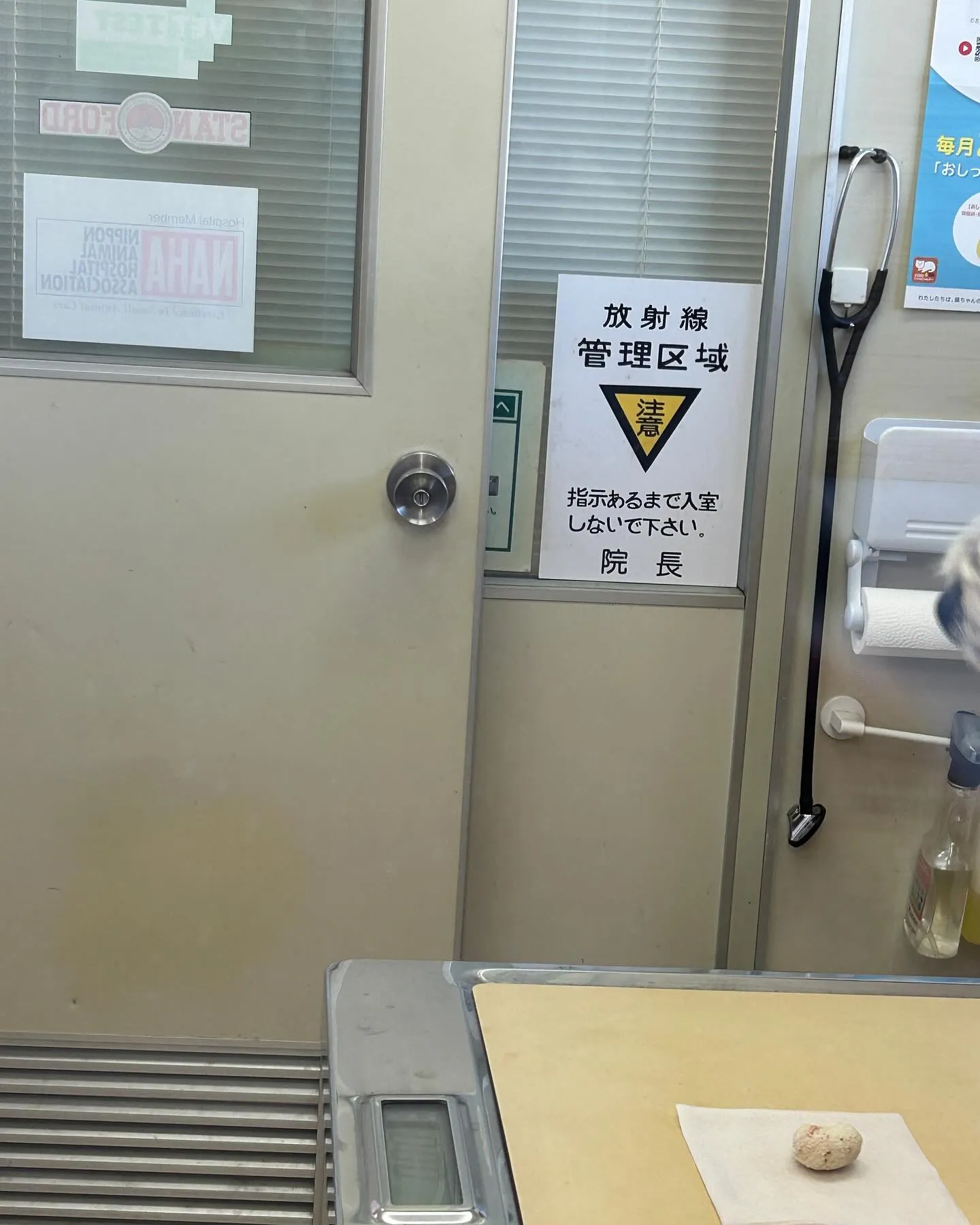 本日は、奈良獣医科病院です。