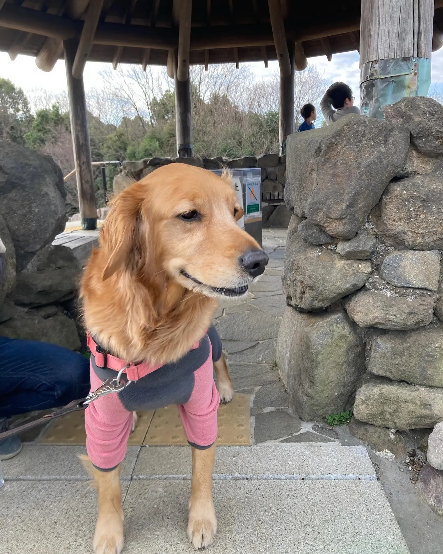 今日は横浜の四季の森公園まで送迎しました。