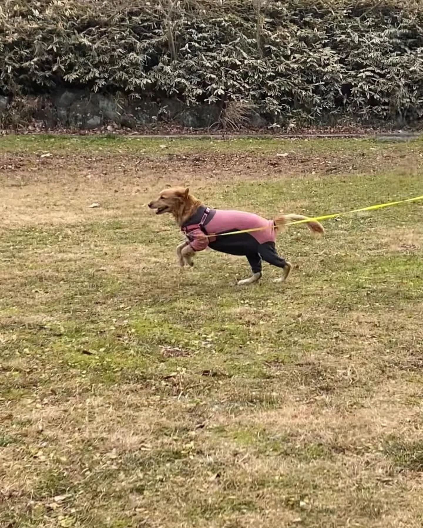 今日は横浜の四季の森公園まで送迎しました。