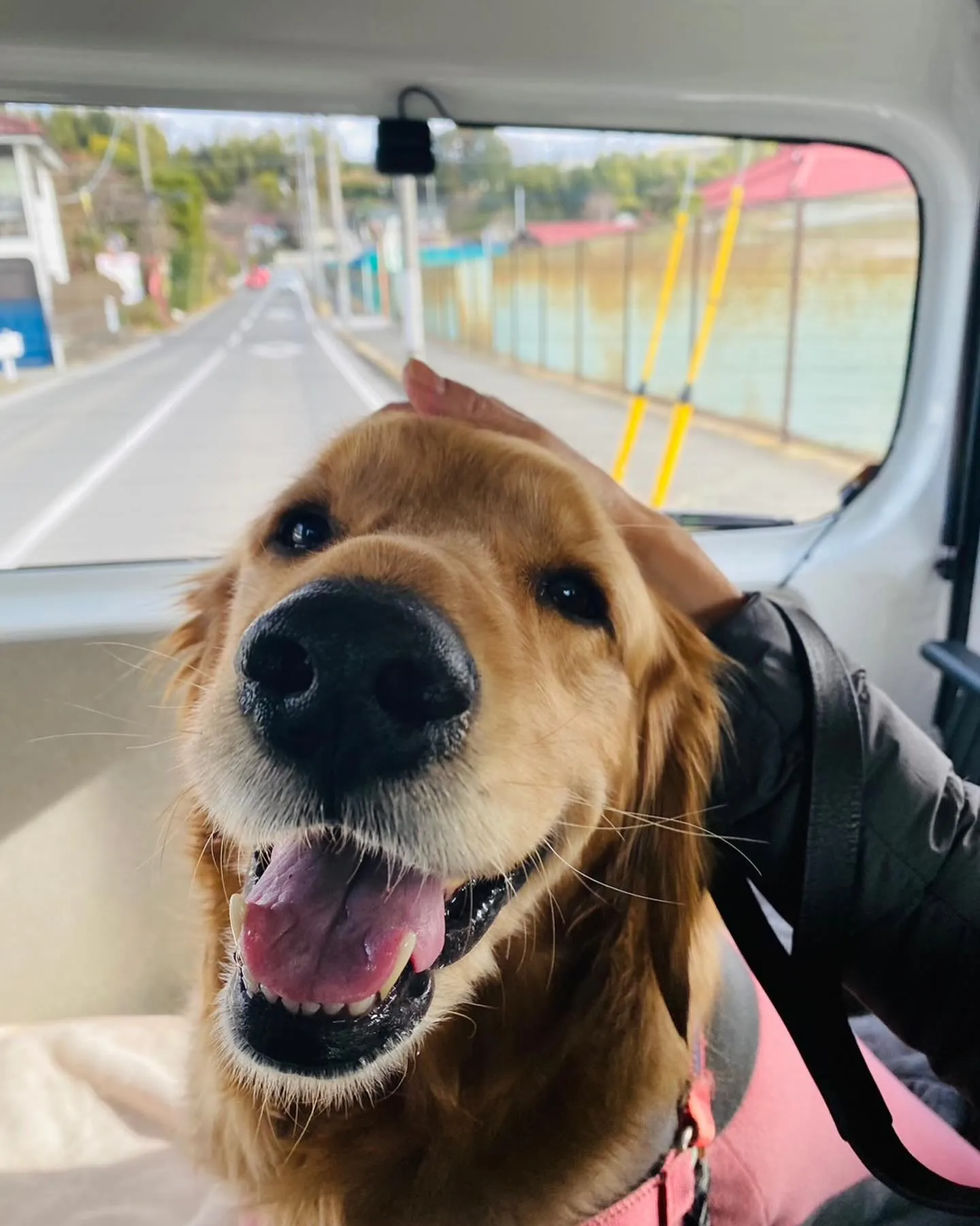 今日は横浜の四季の森公園まで送迎しました。