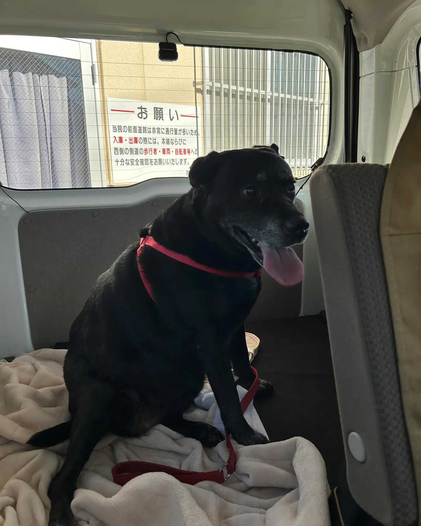 今日は、ベイちゃん13才女の子とドクターオザワ様へ来ています...