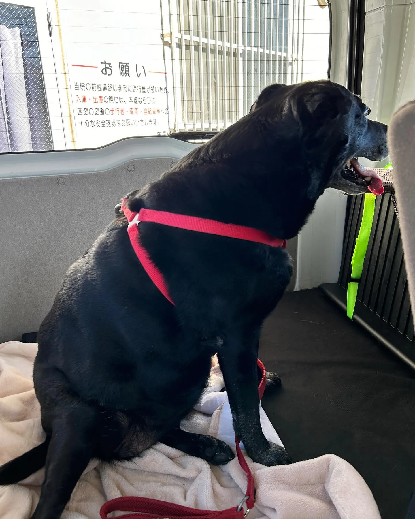 今日は、ベイちゃん13才女の子とドクターオザワ様へ来ています...