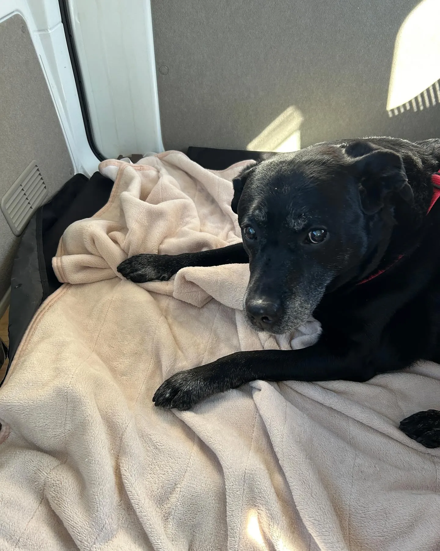 今日は、ベイちゃん13才女の子とドクターオザワ様へ来ています...