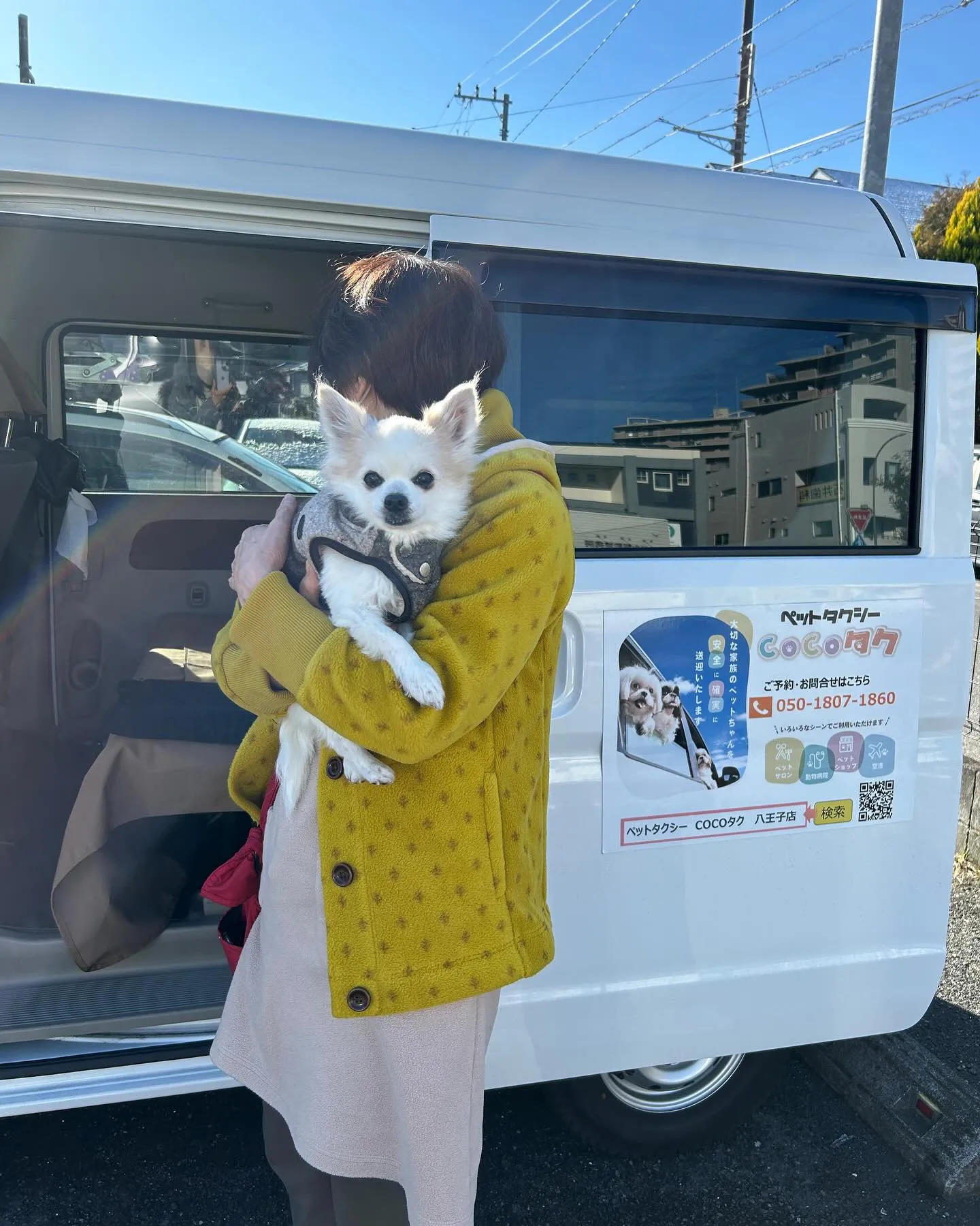 ペットの健康管理にお役立ち！ペットタクシー業界で必要な知識とは？