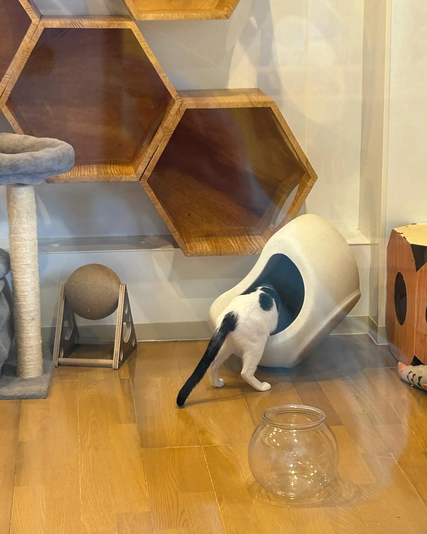 たんぽぽクリニックさんです。