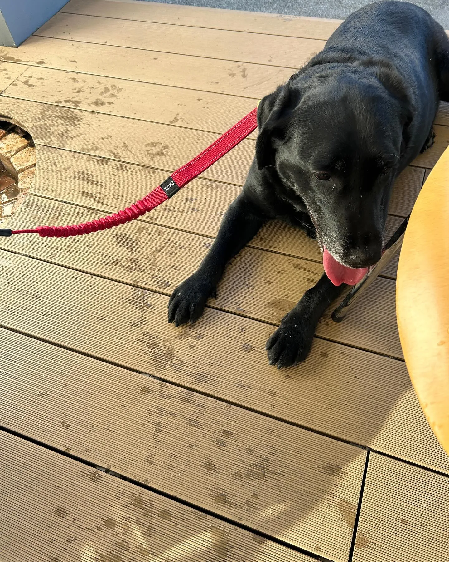 みなみ野動物病院です。