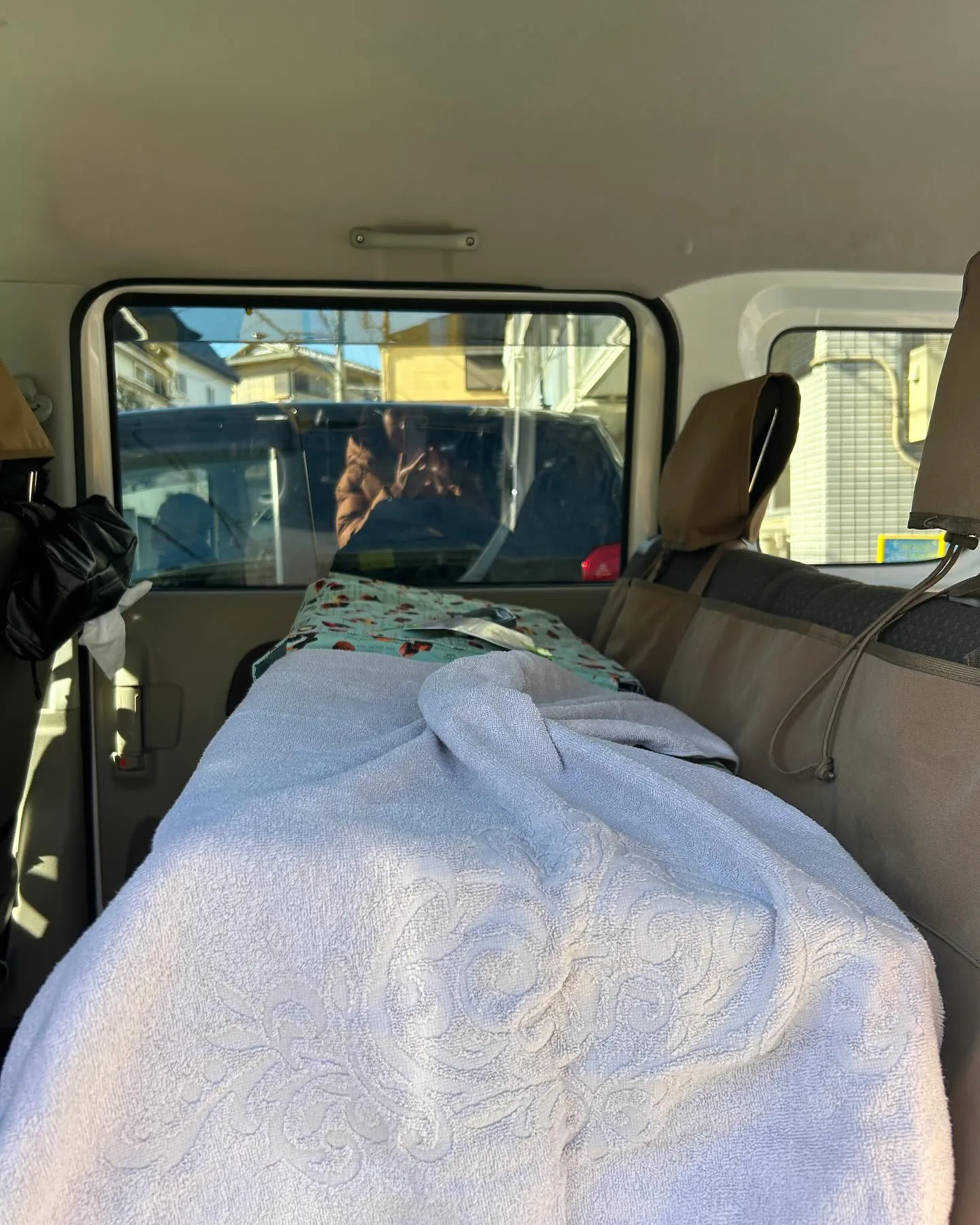 たんぽぽキャットクリニックさんにお邪魔してます。