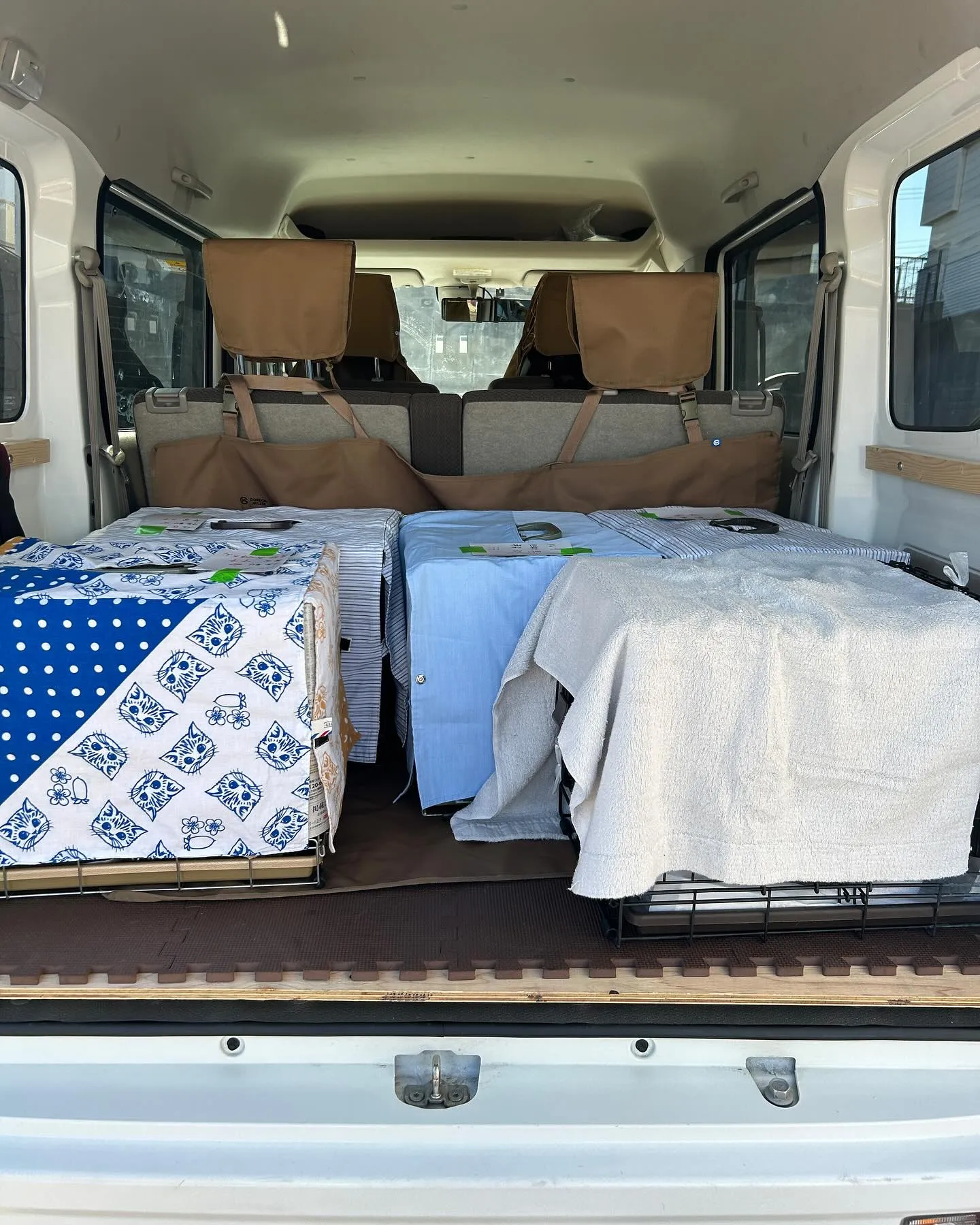 たんぽぽキャットクリニックさんにお邪魔してます。