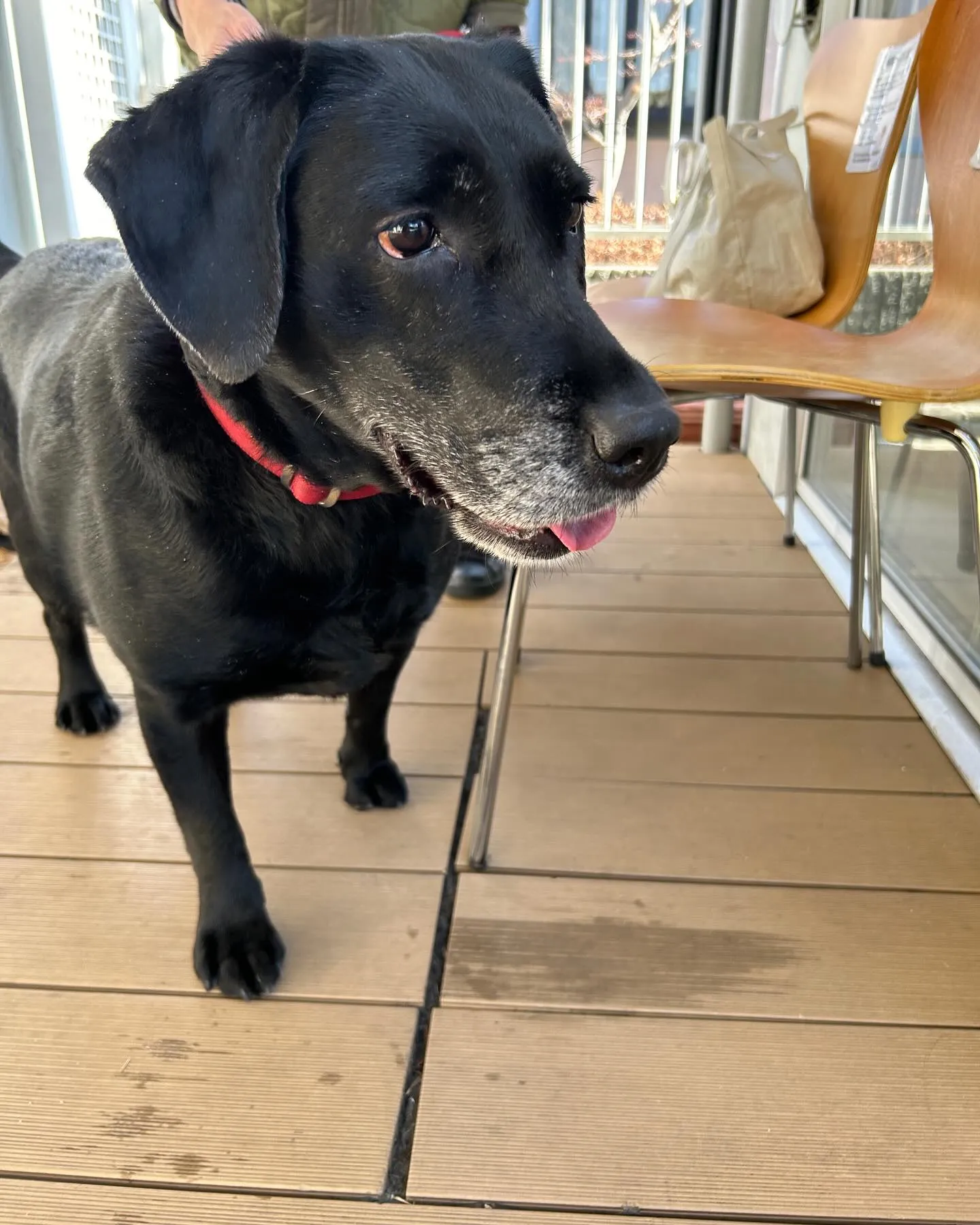 みなみ野動物病院です。