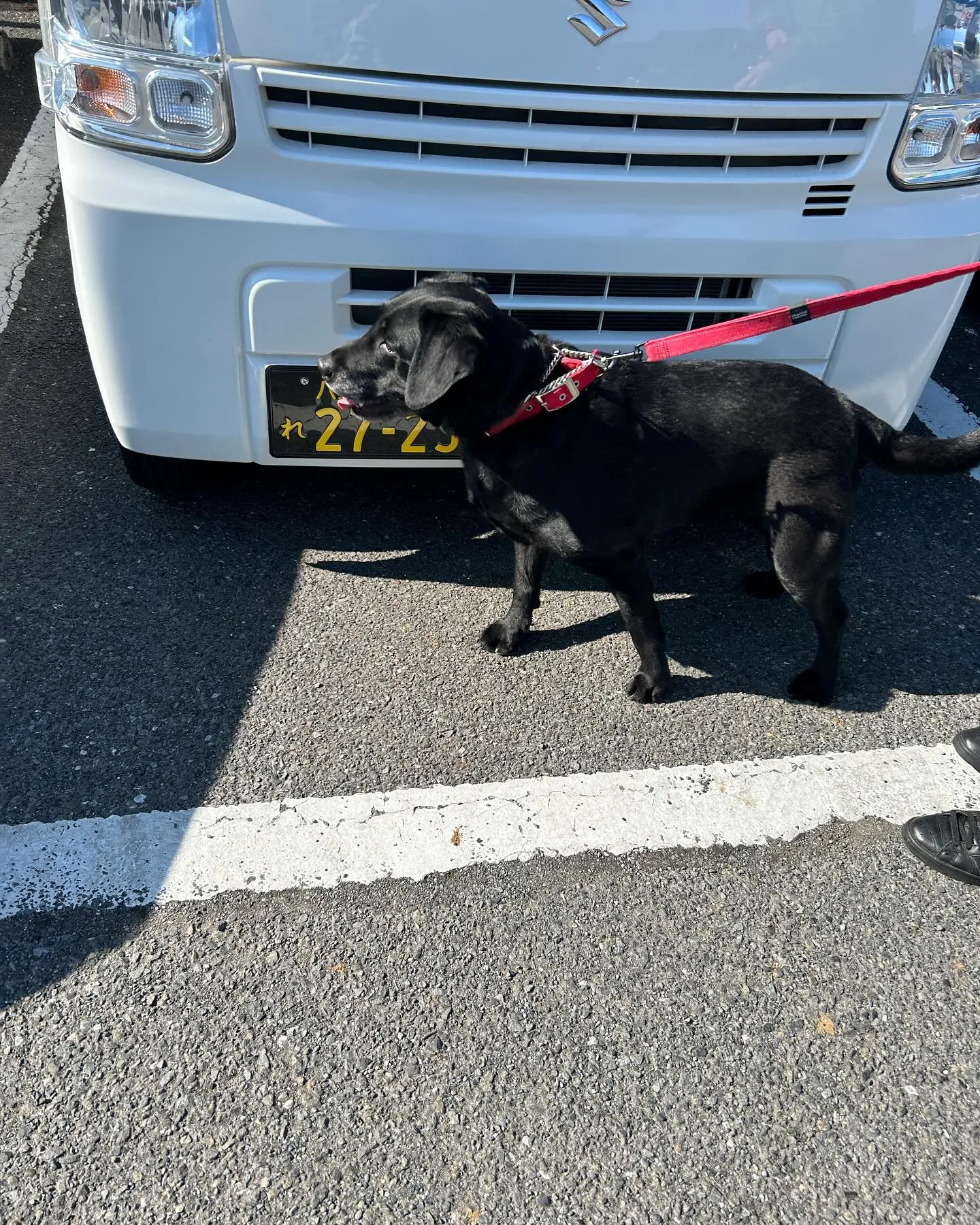 みなみ野動物病院です。