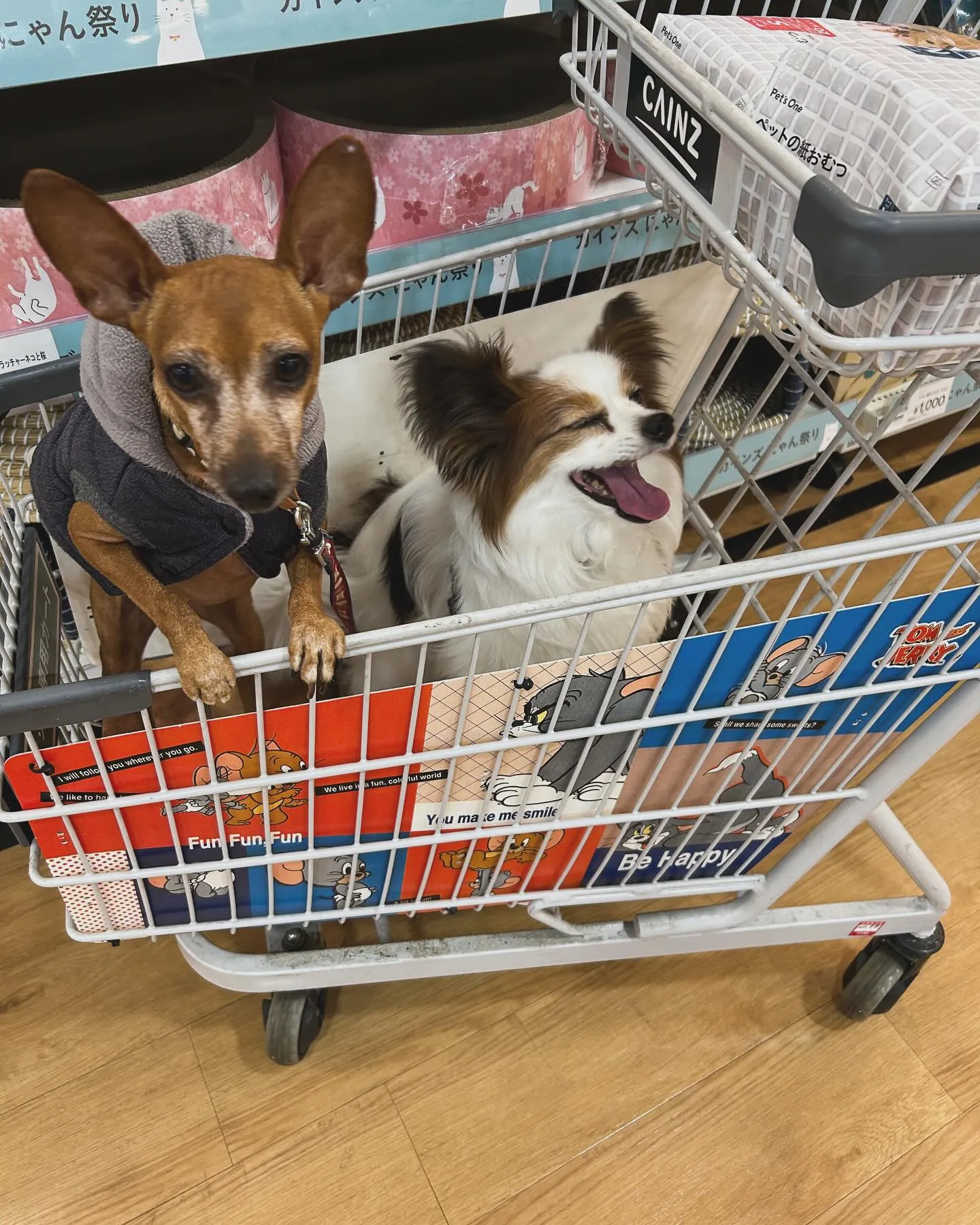 雪も溶けてきました。