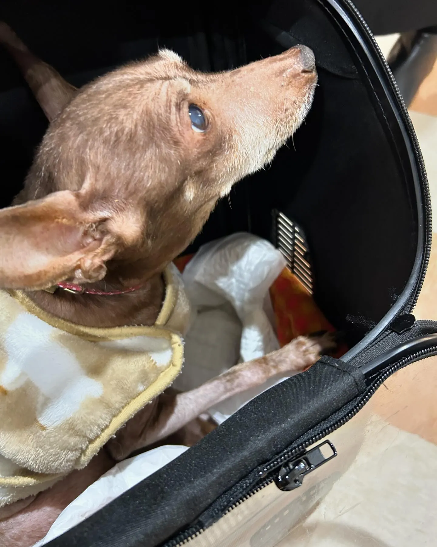 みなみ野動物病院です。