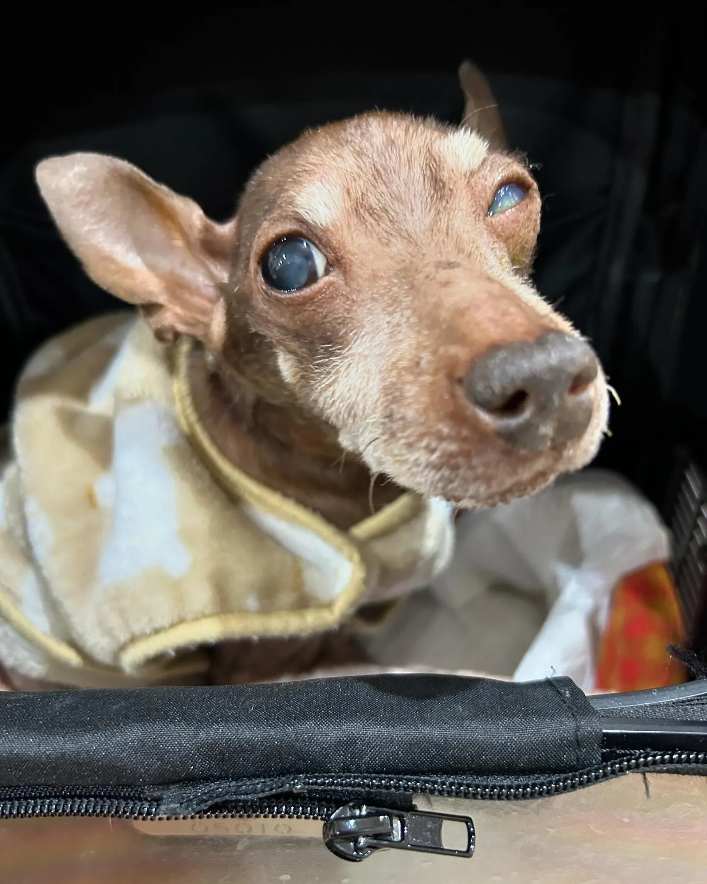 みなみ野動物病院です。