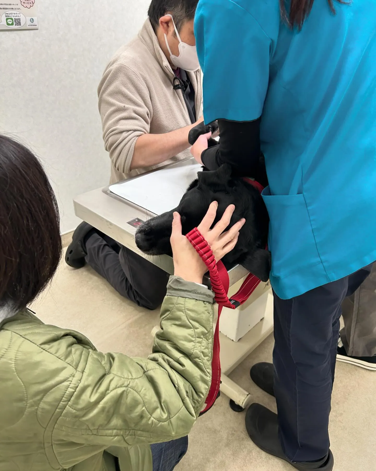 みなみ野動物病院です。