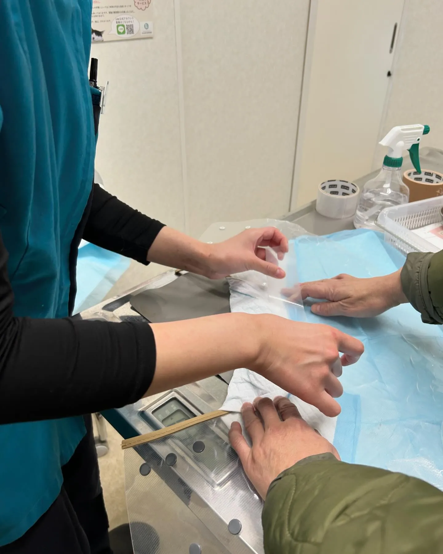 みなみ野動物病院です。