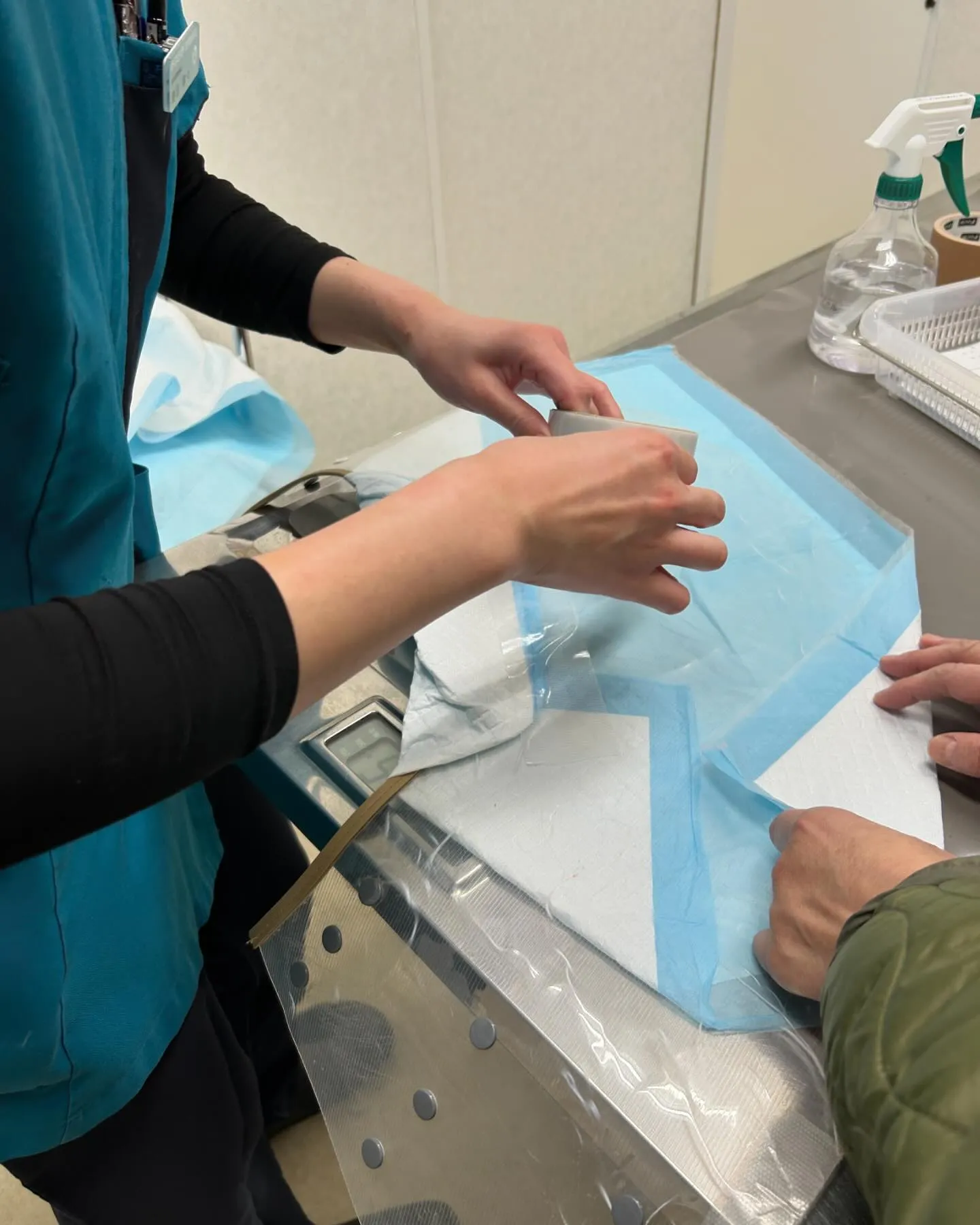 みなみ野動物病院です。