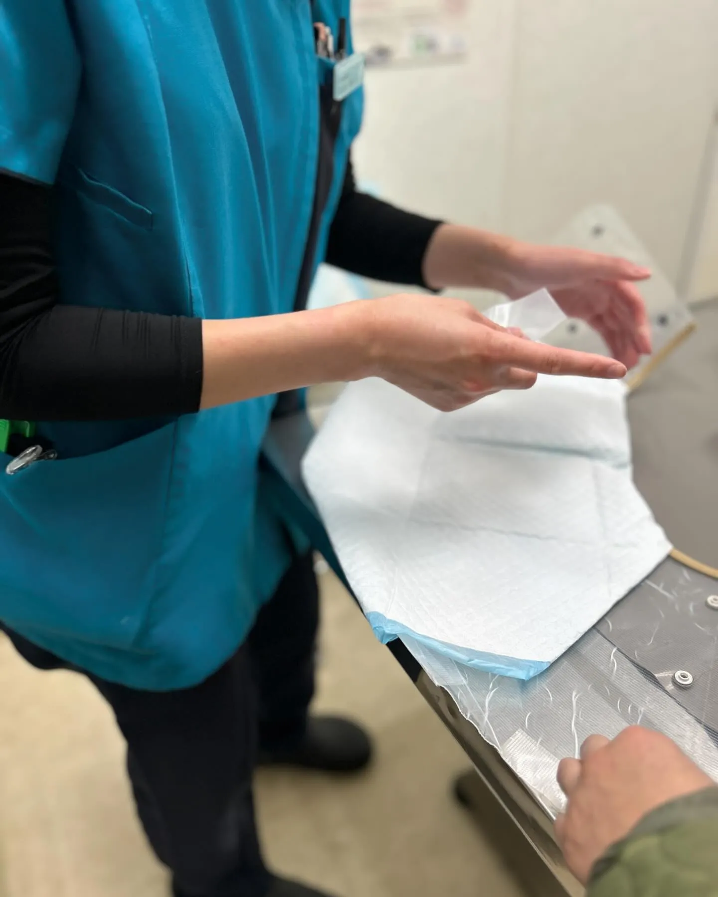 みなみ野動物病院です。