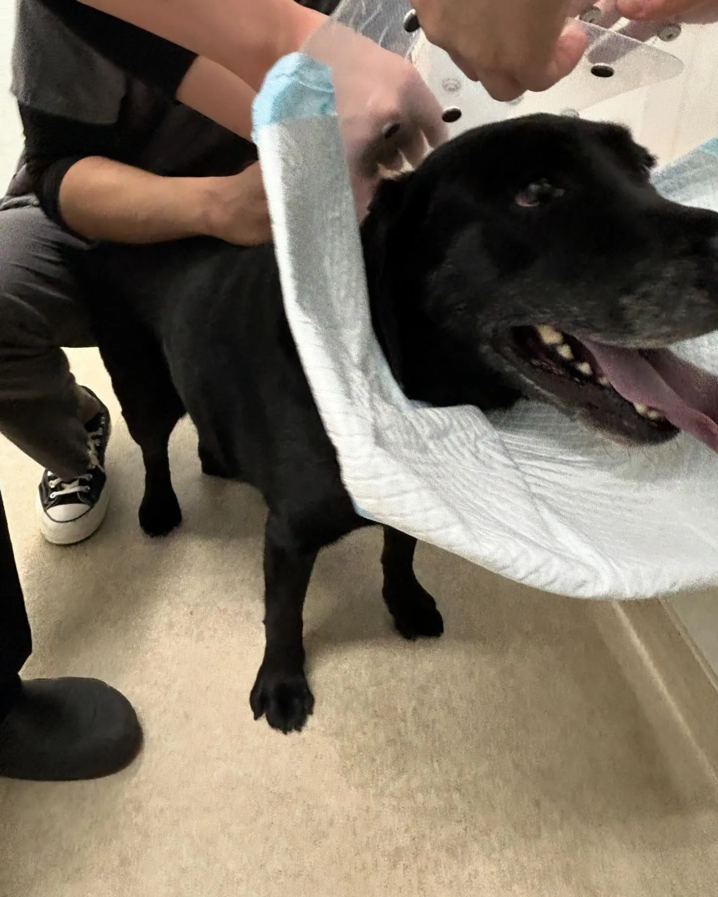 みなみ野動物病院です。