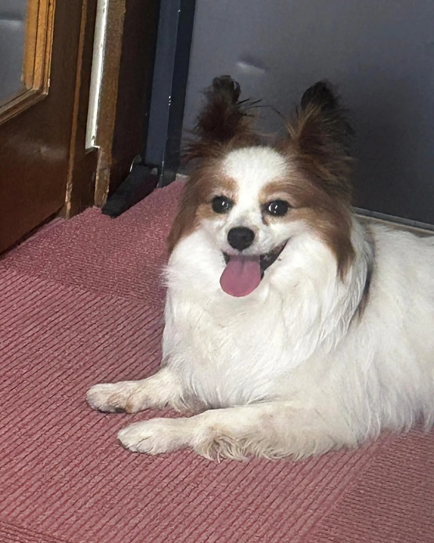 演歌歌手の伊達めぐみちゃんが経営する河口湖のホテルベル鐘山に...