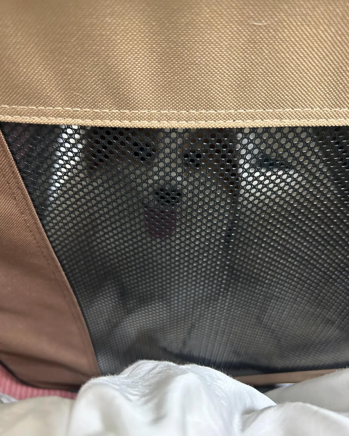 演歌歌手の伊達めぐみちゃんが経営する河口湖のホテルベル鐘山に...