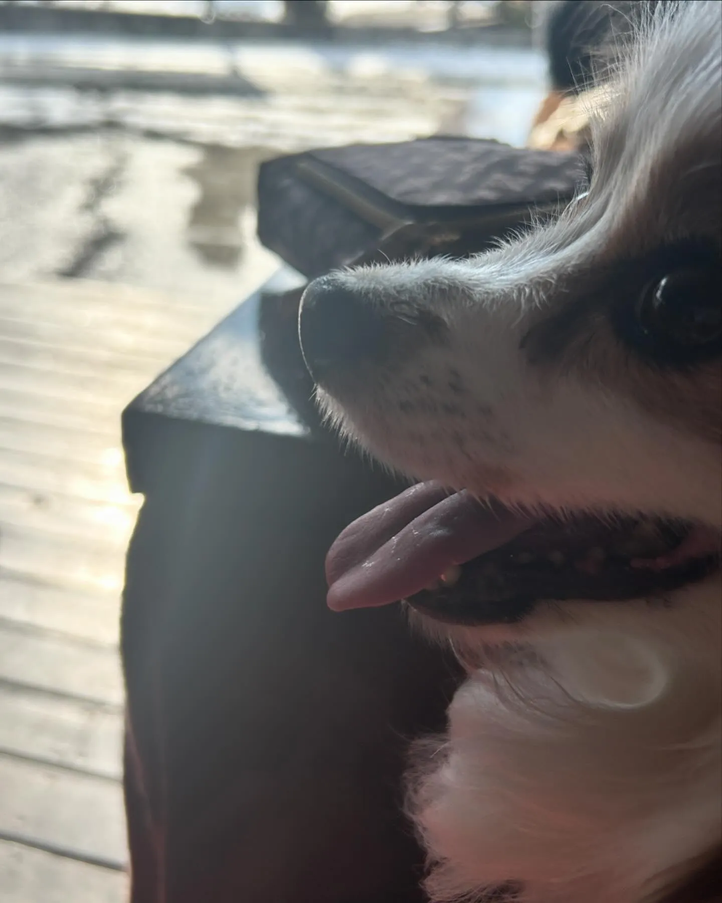 河口湖をお散歩しました。