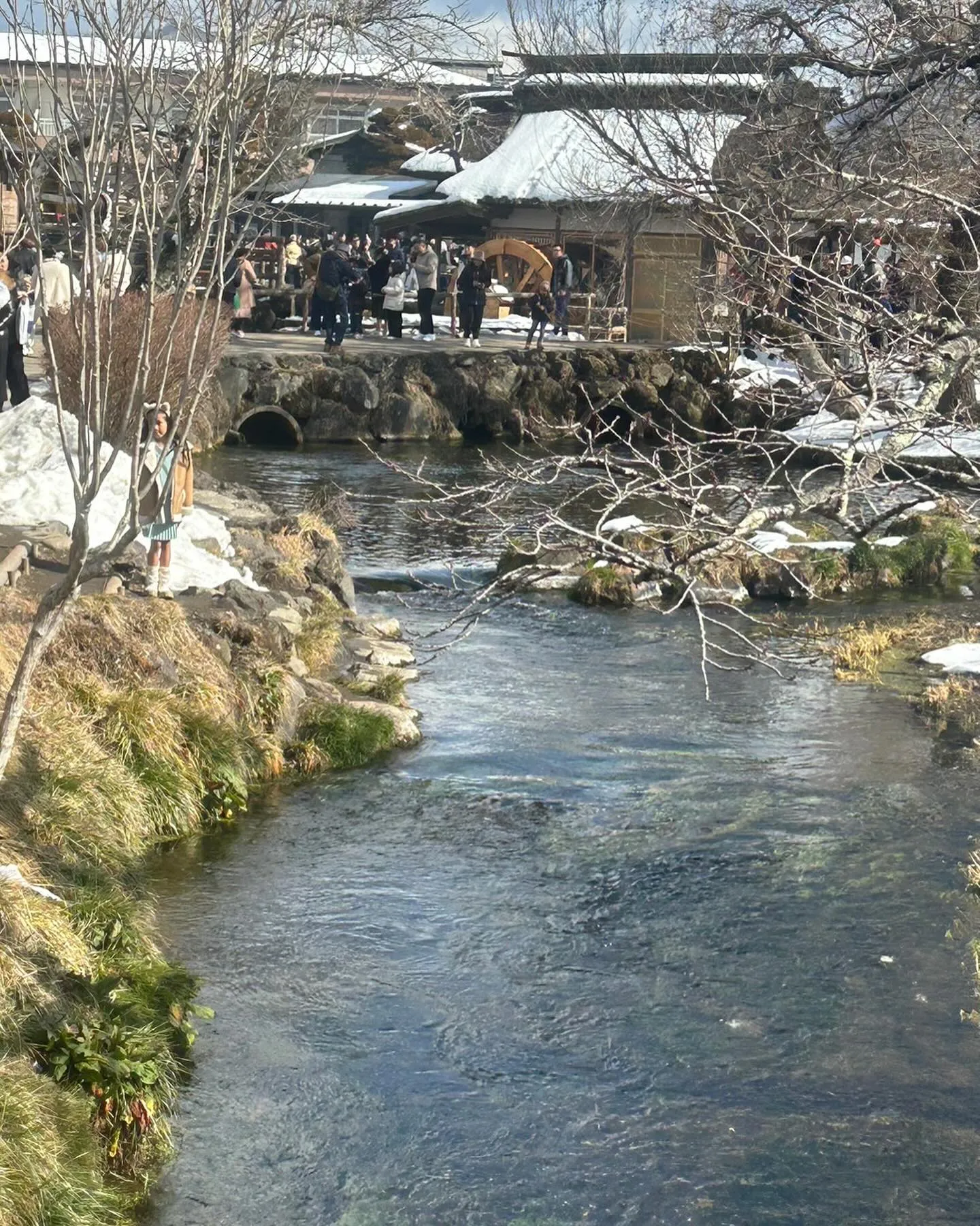 河口湖をお散歩しました。