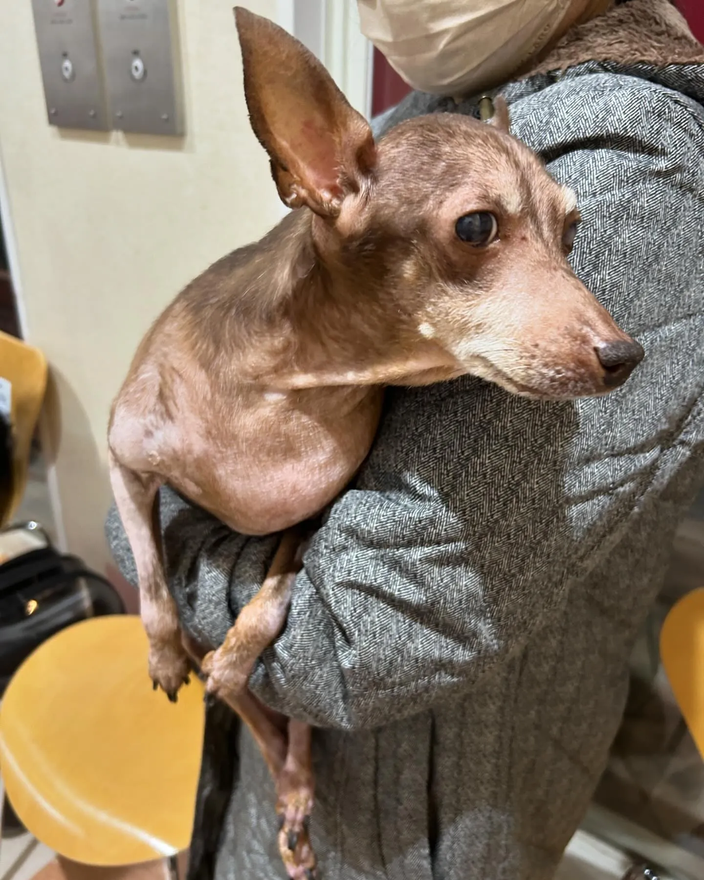 みなみ野動物病院です。