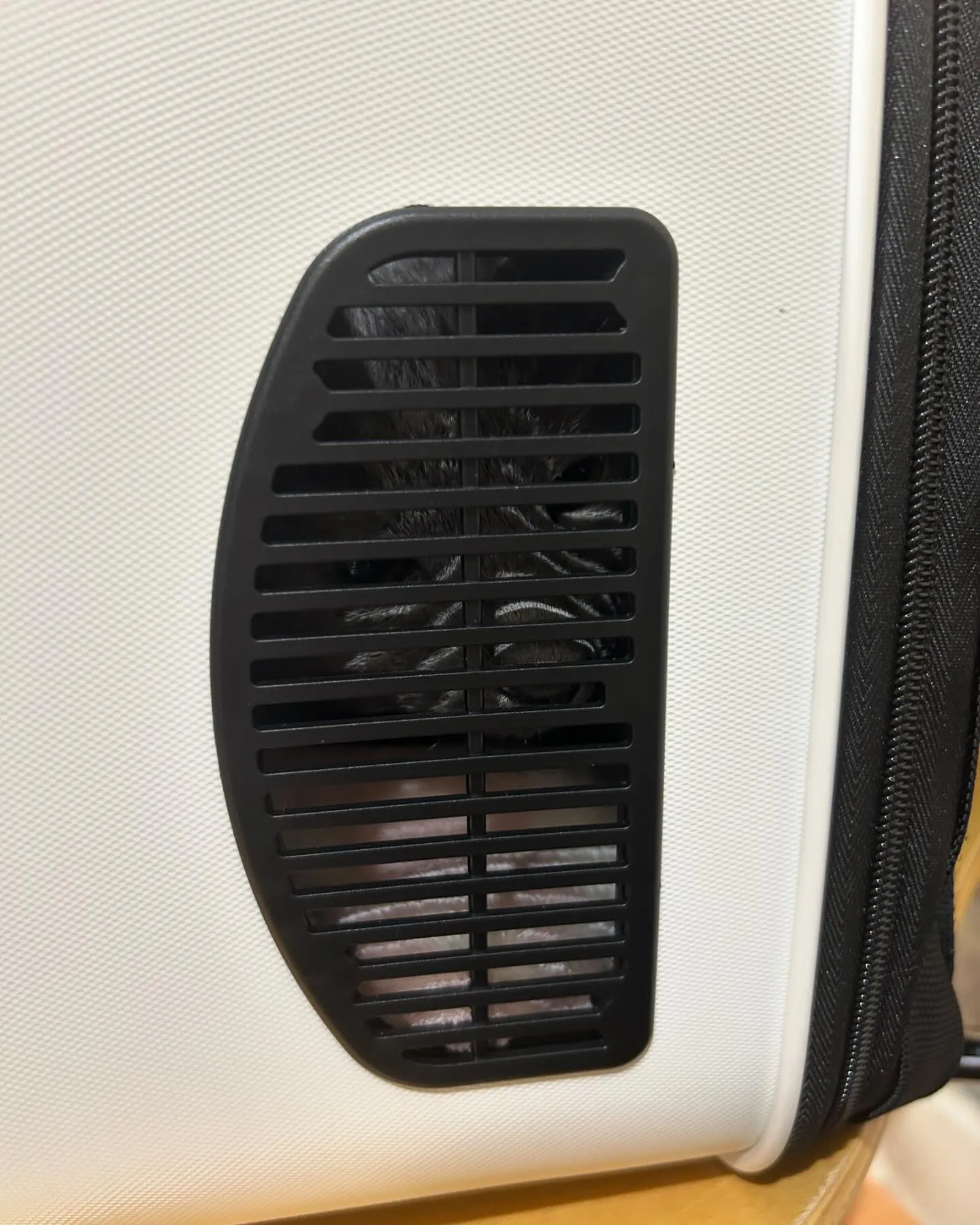 みなみ野動物病院です。