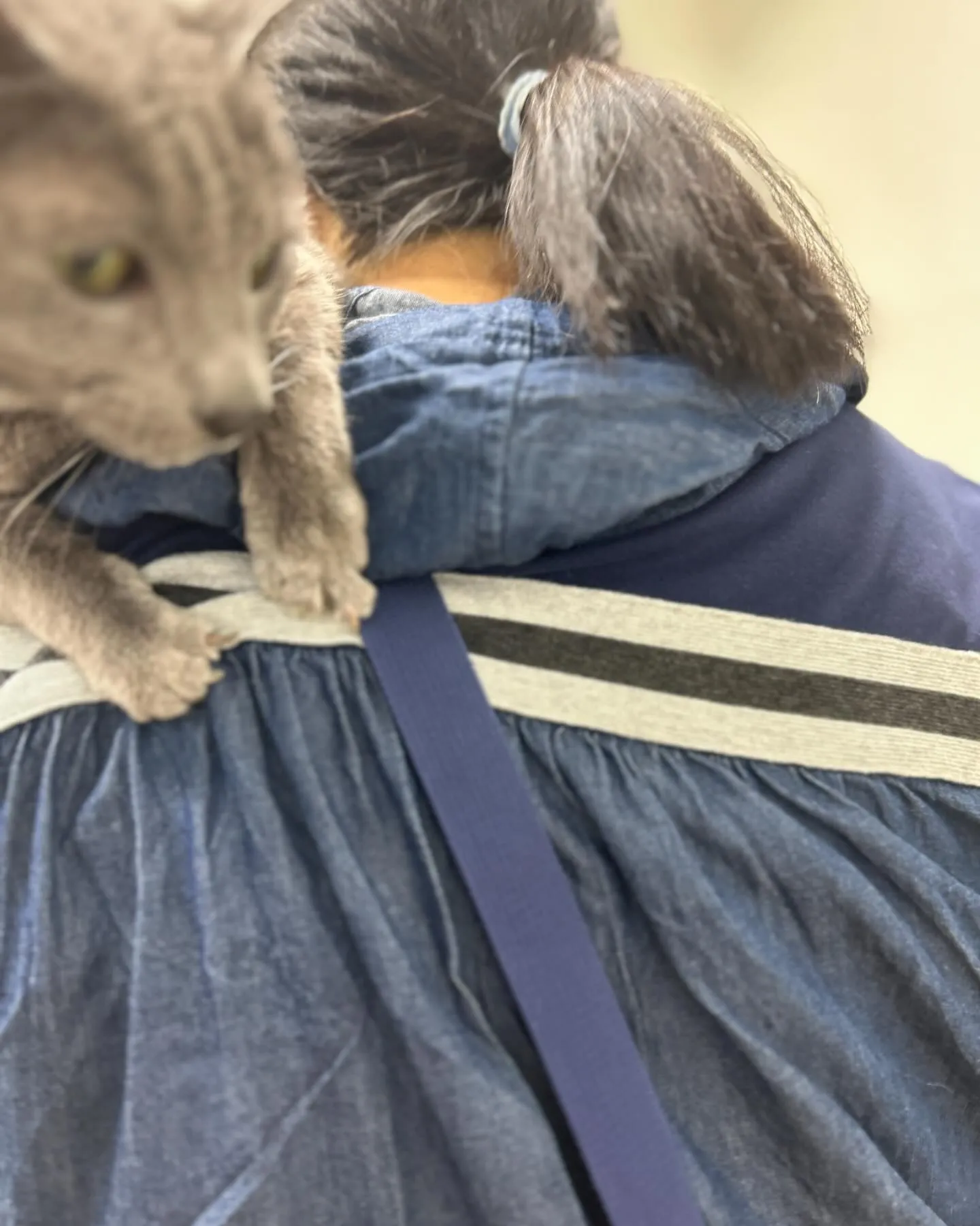 みなみ野動物病院です。