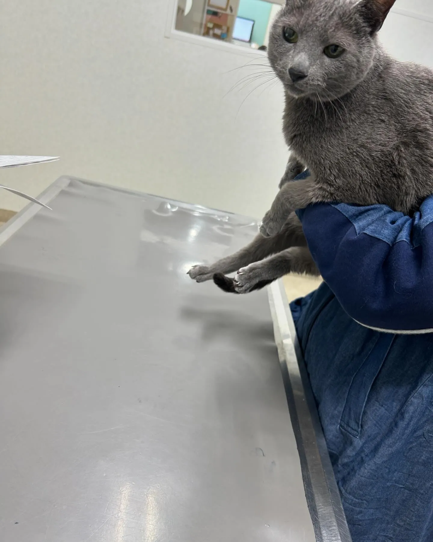 みなみ野動物病院です。