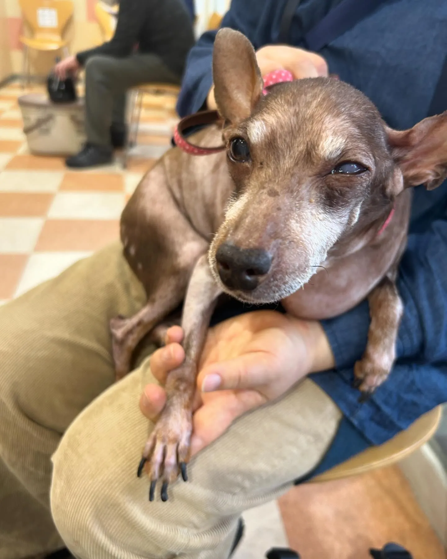 みなみ野動物病院です。
