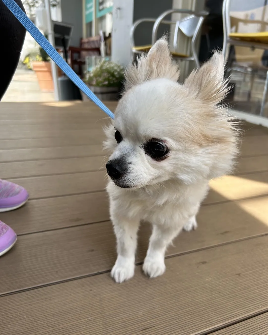 みなみ野動物病院です。