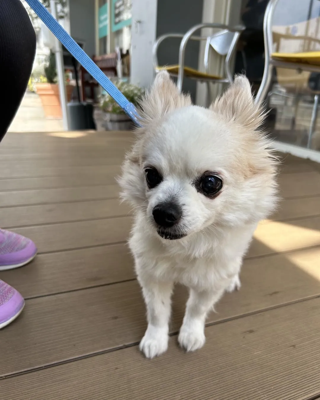 みなみ野動物病院です。