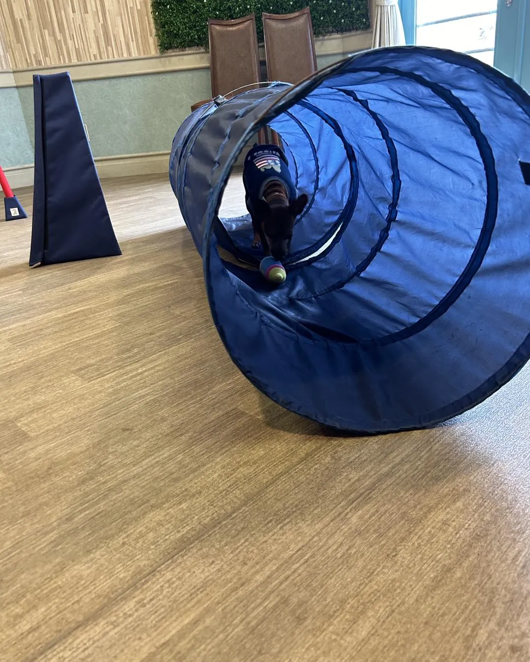 ゆとりろガーデン北軽井沢withDOGSに行きました。