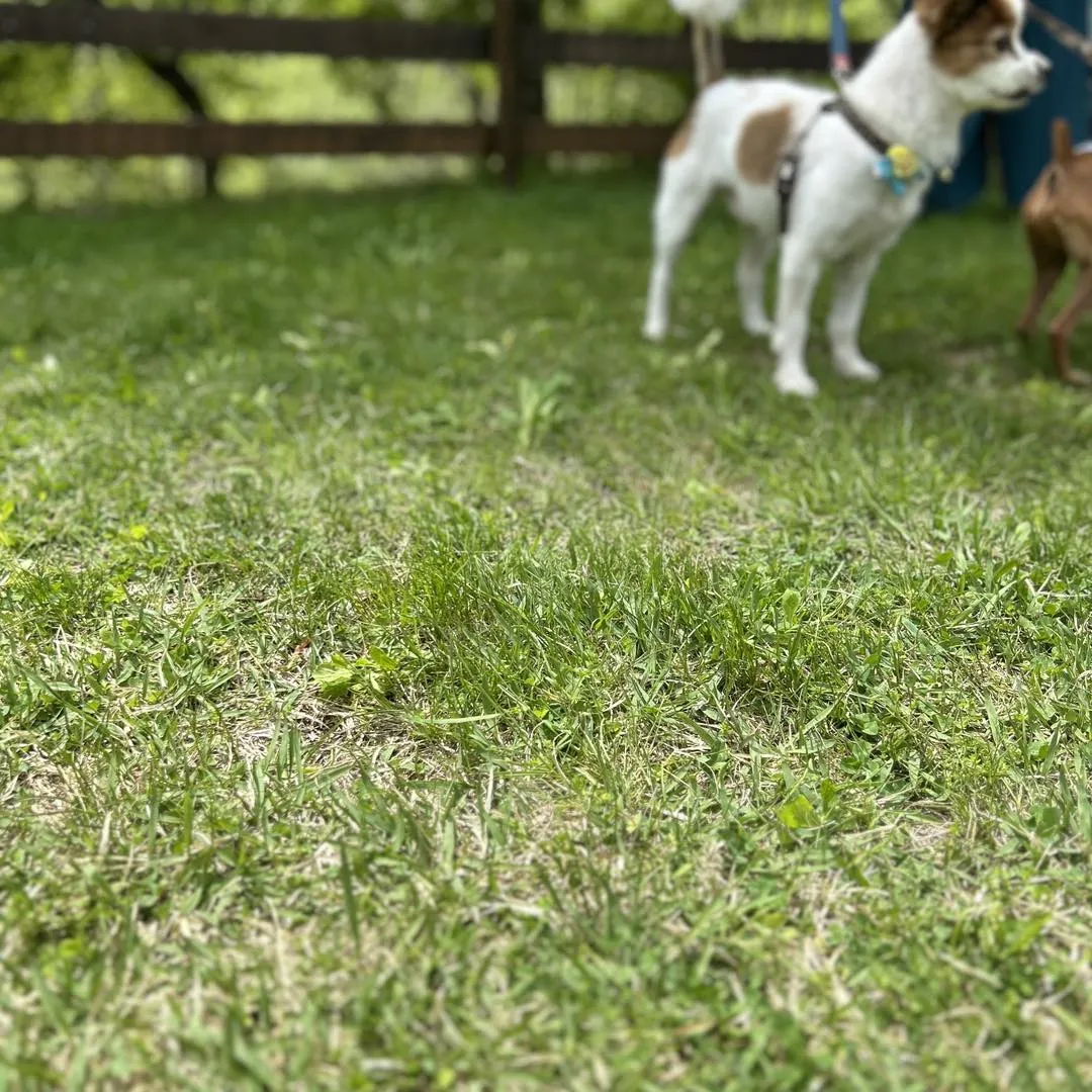 山梨県、道の駅みとみと道の駅まきおかに行きました。