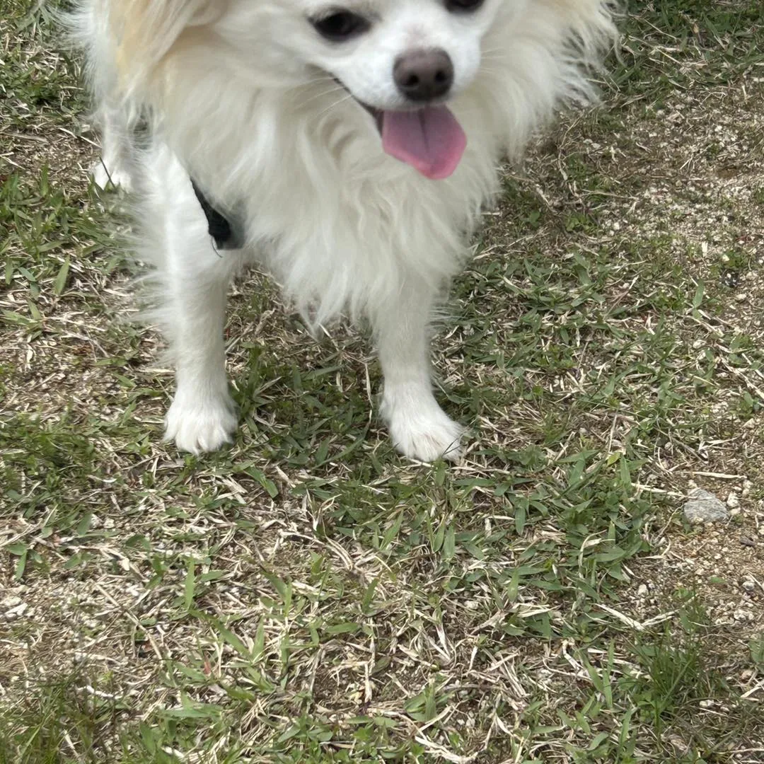 山梨県、道の駅みとみと道の駅まきおかに行きました。