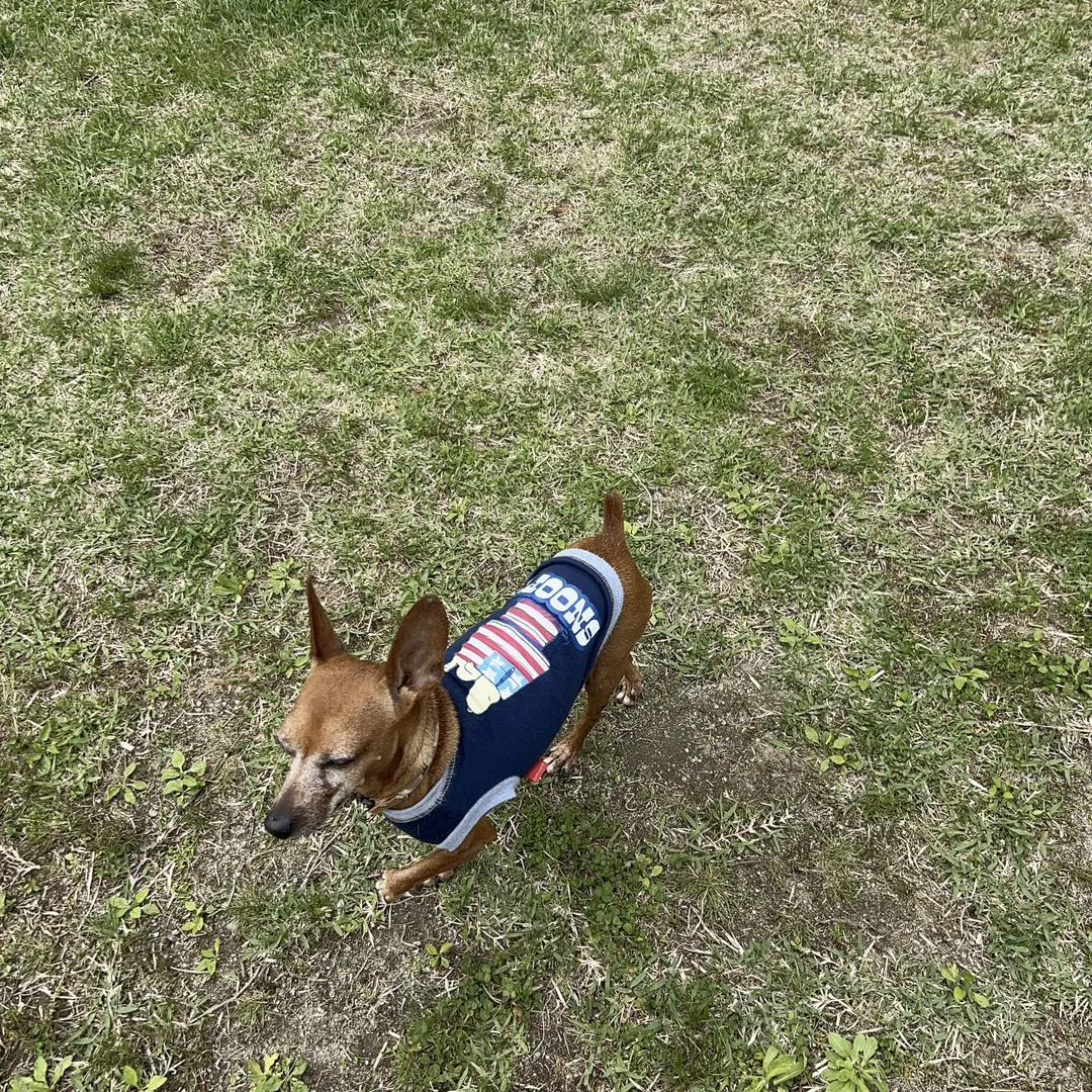 山梨県、道の駅みとみと道の駅まきおかに行きました。