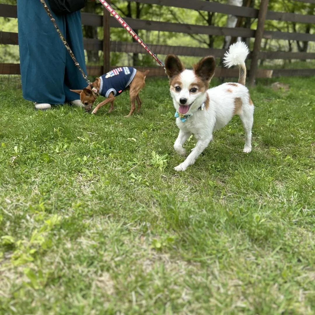 山梨県、道の駅みとみと道の駅まきおかに行きました。