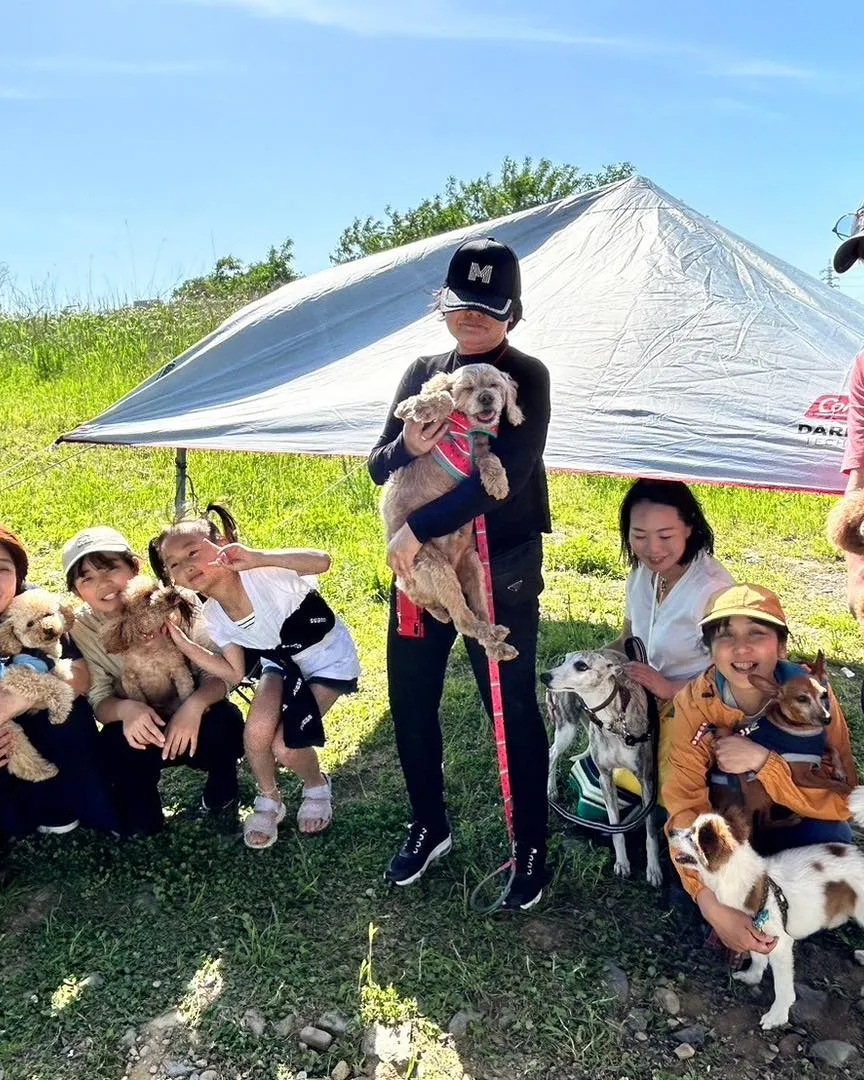 あなたのペットにも快適な移動手段を！ペットタクシーの利用法