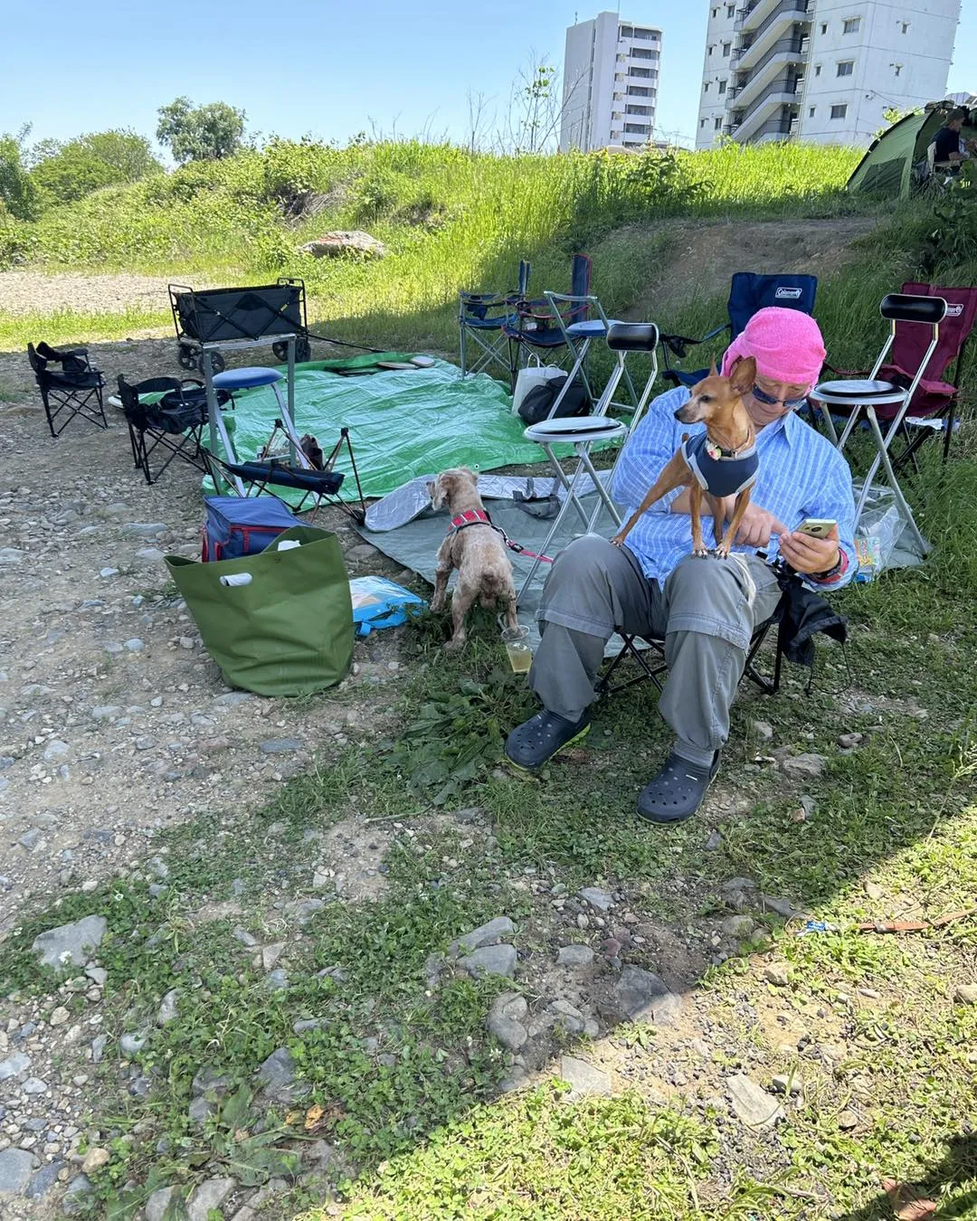 ケンシロウ容疑者の盗み食い未遂の証拠写真です。