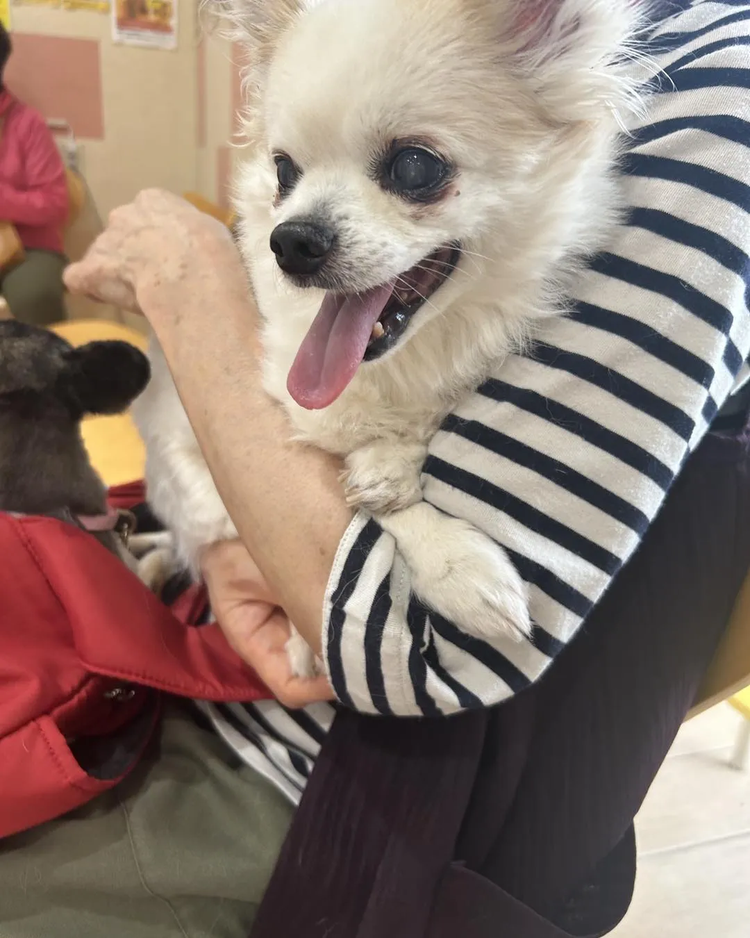 みなみ野動物病院です。