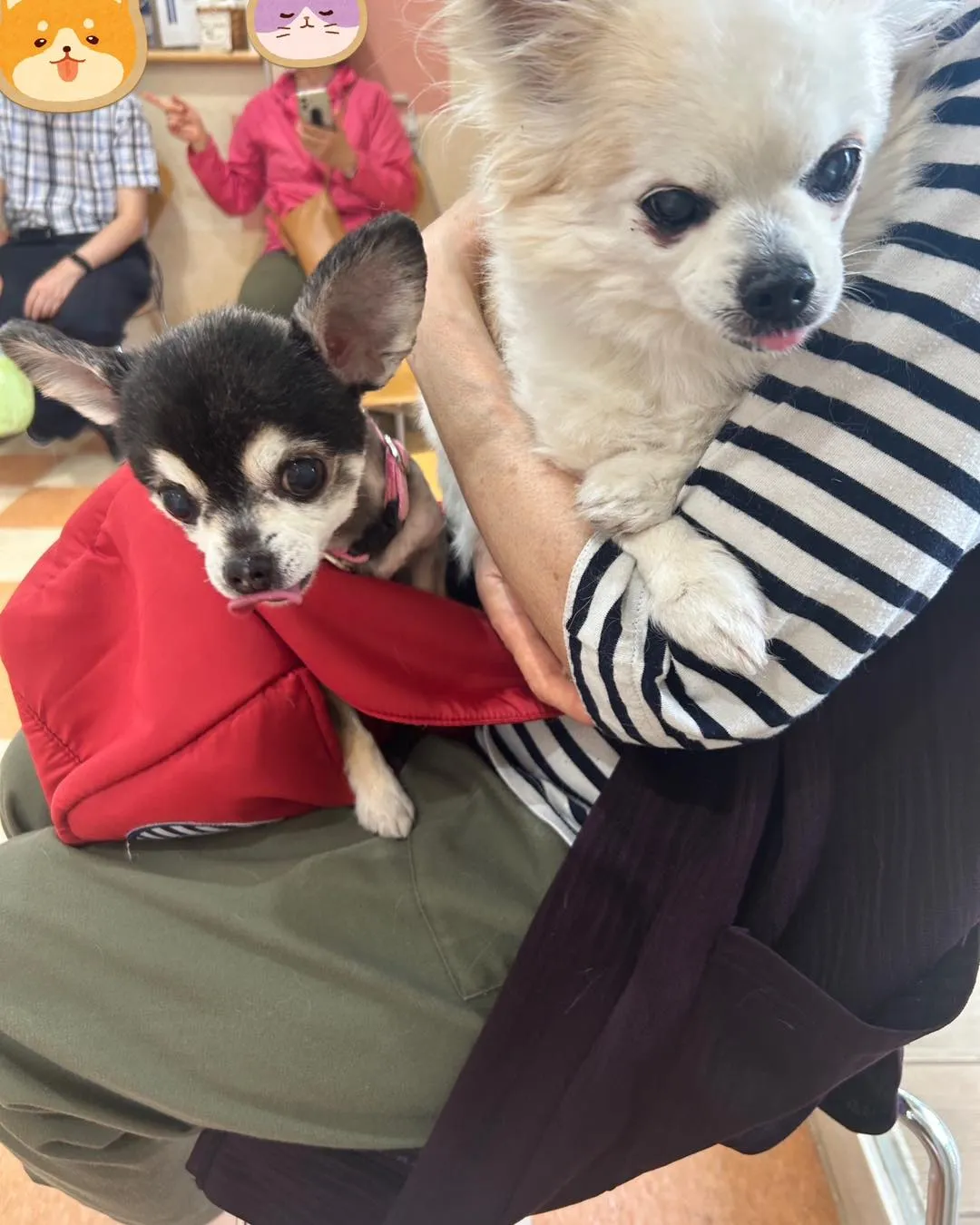 みなみ野動物病院です。