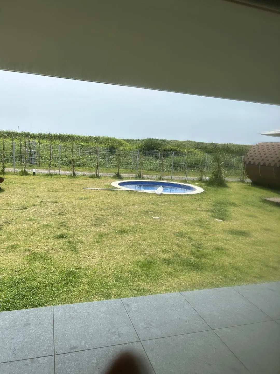 サニーちゃんをお迎えに行きました。