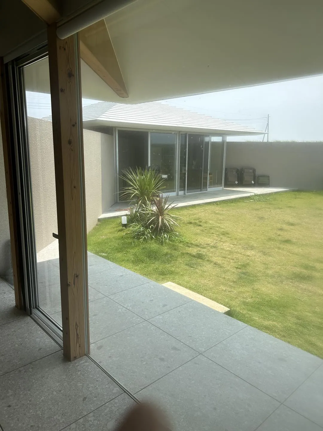 サニーちゃんをお迎えに行きました。