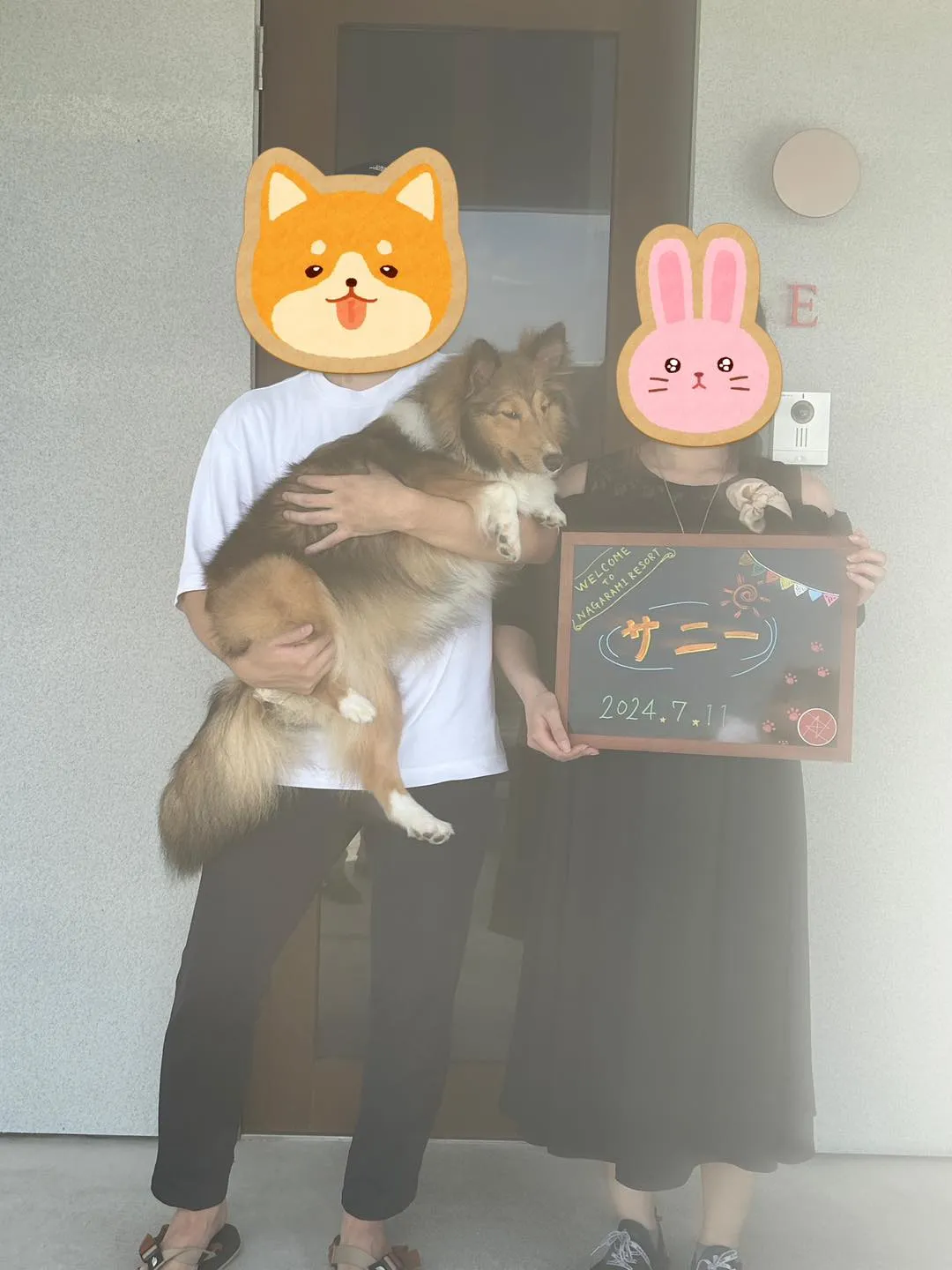 サニーちゃんをお迎えに行きました。