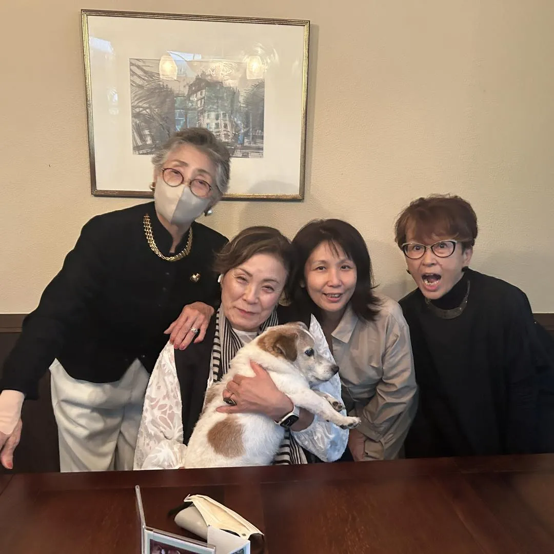 八王子のカフェ　やすたけの看板犬ポチです。